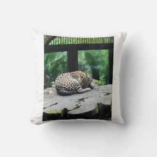 Gros Coussin de chat couché