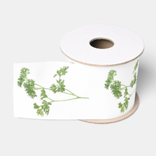 Gros-grain PERSIL FRAIS Ruban Grosgrain Largeur 3"