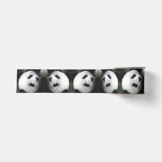 Gros-grain Ruban d'ours panda (Devant)