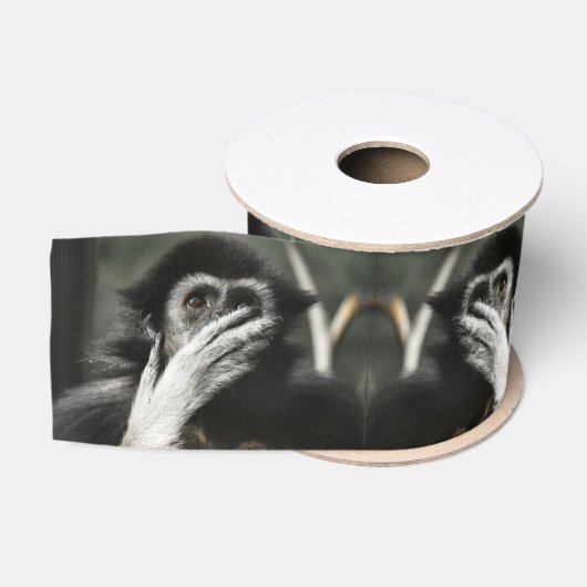 Gros-grain Ruban grosgrain singe choqué (Bobine)