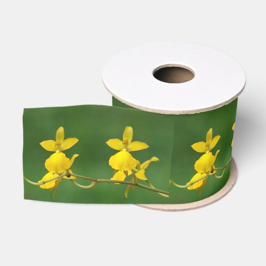 Gros-grain Ruban jaune orchidée (Bobine)