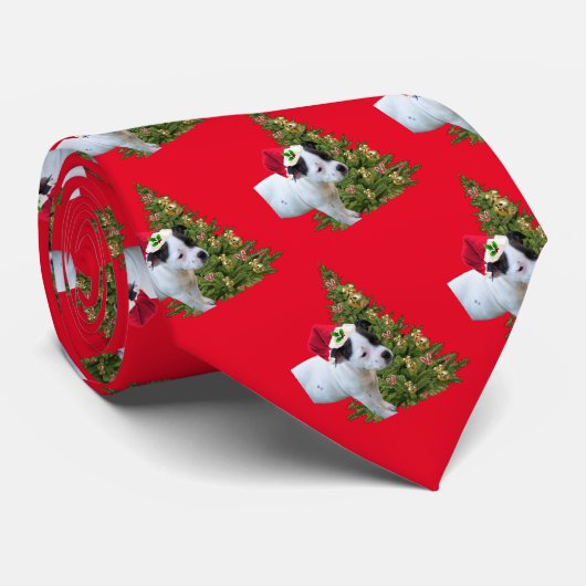 Gros Noël de chiot, Cravate (Roulé)