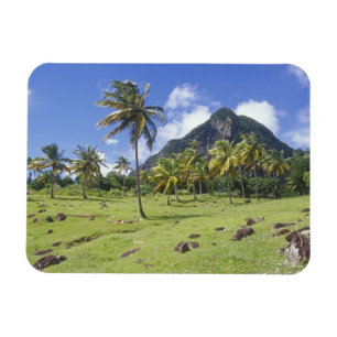 Gros Piton uitzicht langs het historische pad in Magneet