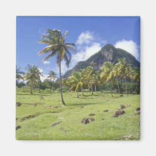 Gros Piton uitzicht langs het historische pad in Magneet