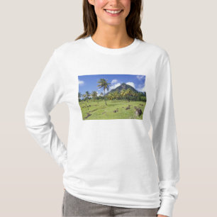 Gros Piton uitzicht langs het historische pad in T-shirt