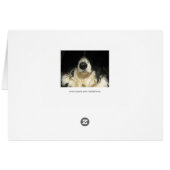 Gros plan (Dos Horizontal)