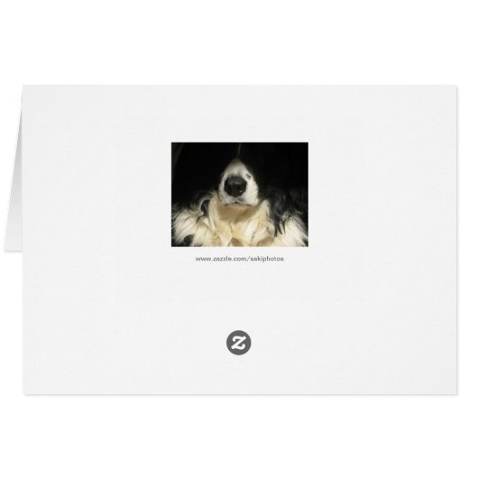 Gros plan (Dos Horizontal)