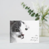 Gros plan de chat Réfléchir à votre carte postale (Debout devant)