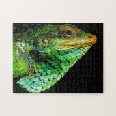 Gros plan de la tête de Chameleon, Jigsaw Puzzle (Horizontal)
