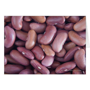 Gros plan des haricots reins