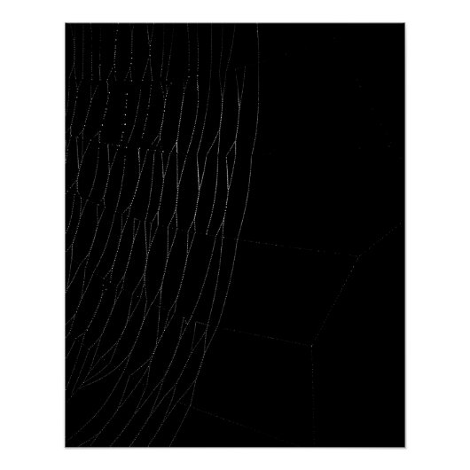 Gros plan du Web blanc avec affiche noire (Devant)