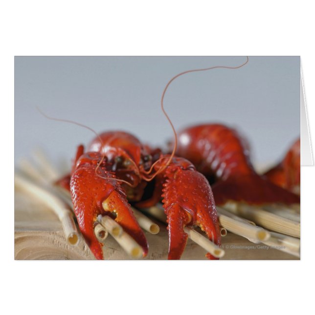 Gros plan d'un crabe sur bâtons (Devant horizontal)