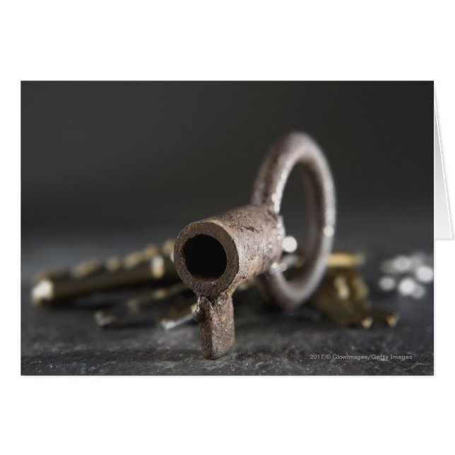 Gros plan d'une clé dans une bague de clé (Devant horizontal)