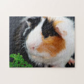 Gros plan, Puzzle (Horizontal)