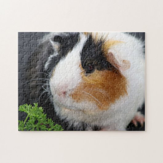 Gros plan, Puzzle (Horizontal)