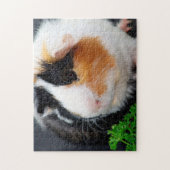 Gros plan, Puzzle (Vertical)