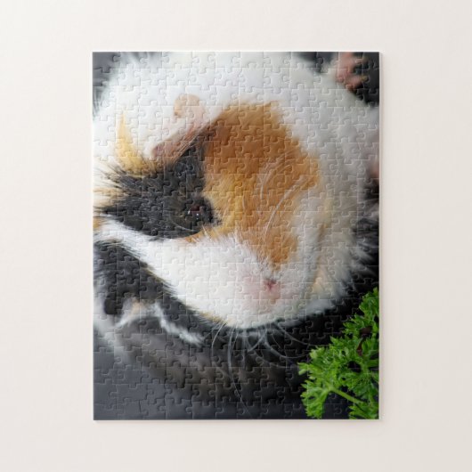 Gros plan, Puzzle (Vertical)