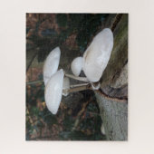 Gros plan Puzzle : Champignons de Porcelaine migno (Vertical)