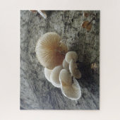 Gros plan Puzzle : Champignons de porcelaine sur a (Vertical)