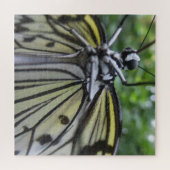 Gros plan Puzzle : Papillon noir et blanc (Horizontal)