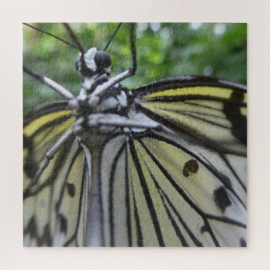 Gros plan Puzzle : Papillon noir et blanc