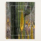 Gros plan sur cactus et agave (Devant)