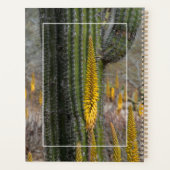 Gros plan sur cactus et agave (Dos)