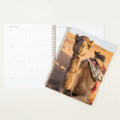 Gros plan sur drôles de chameaux dans le désert d' (Devant avec enveloppe)