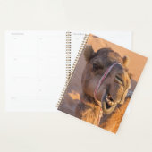 Gros plan sur drôles de chameaux dans le désert d' (Devant avec enveloppe)