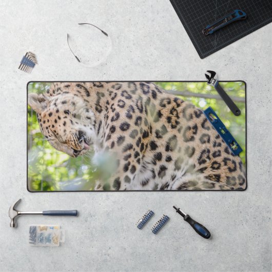 Gros plan sur la photo Leopard (Poste de travail)