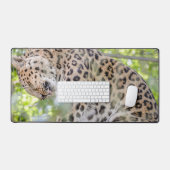 Gros plan sur la photo Leopard (Clavier et souris)