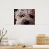 Gros plan sur le chiot Poster (Cuisine)