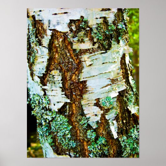 Gros plan sur une affiche (Devant)