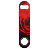 Gros plan sur une rose rouge (Dos)