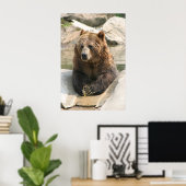 gros poster de grizzli 2 (Bureau à domicile)