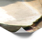 gros poster de grizzli 2 (Coin)