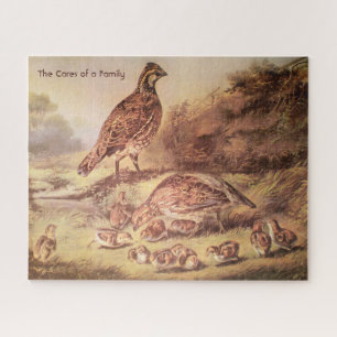 Gros puzzle Quail Family (500 pièces)