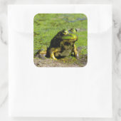 Gros Stickers Grenouille (Sac)