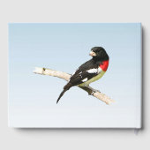 Grosbeak Bird Anniversaire de fête Livre d'or (Verso)