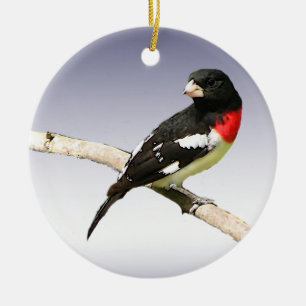 Grosbeak met roos keramisch ornament