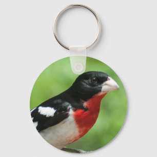 Grosbeak met roos sleutelhanger