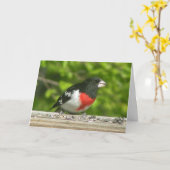 Grosbeak Penser À Votre Carte (Grande Impression) (Fleur jaune)