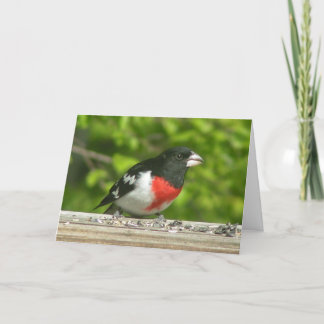 Grosbeak Penser À Votre Carte (Grande Impression)