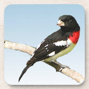 Grosbeak roze-Breasted Drankjes Onderzetter