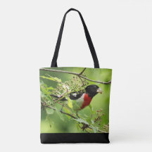 Grosbeak-Tas met mannelijke Roos