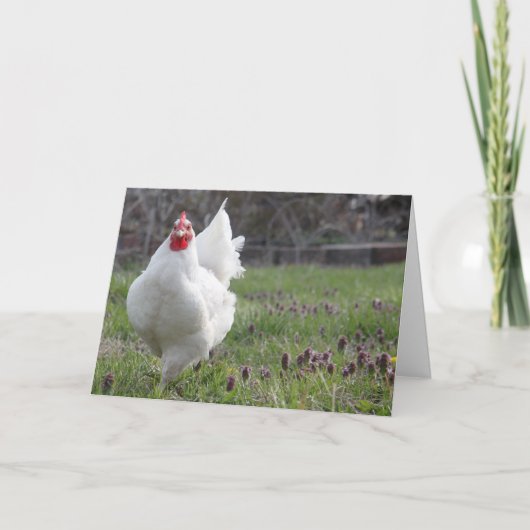 Grosse carte de voeux blanche de poule (Devant)