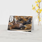 Grosse carte Rêves de phoque couché (Fleur jaune)