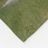 Grosse couverture polaire du phare de Sable Point (Coin)