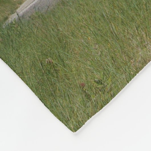 Grosse couverture polaire du phare de Sable Point (Coin)