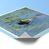 Grosse grenouille énorme affiche (Coin)